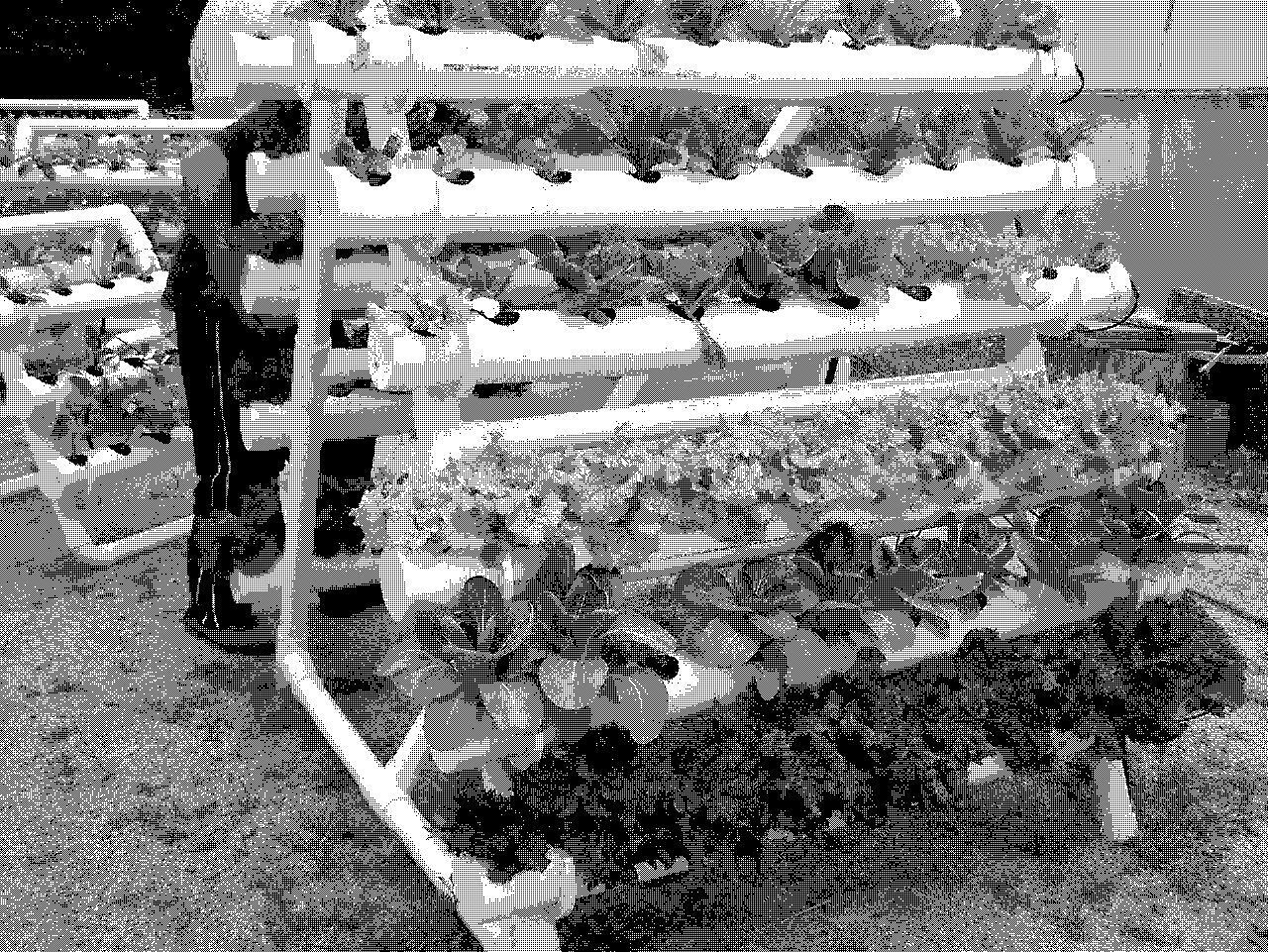 A hydroponic system with pvc pipes